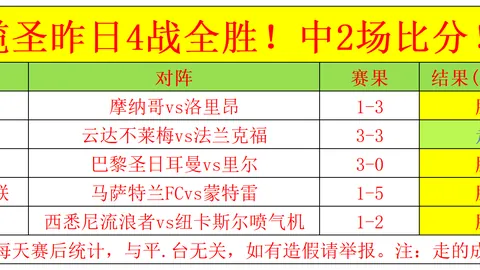 巅峰对决：葡萄牙青训翘楚五连冠风暴，实力对决，精彩连连！